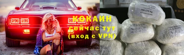 ешки Алексин